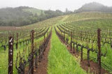 Peter Michael 'Au Paradis' Cabernet Sauvignon Napa Valley, 2014